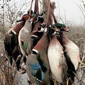 Meet your Posher, Jon